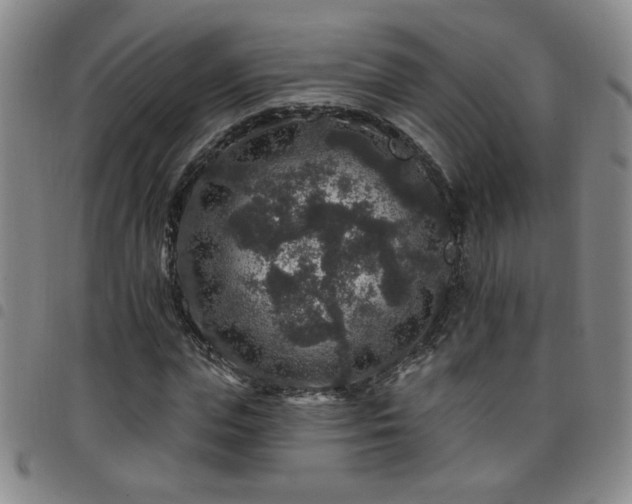 X0000098150823200804241737