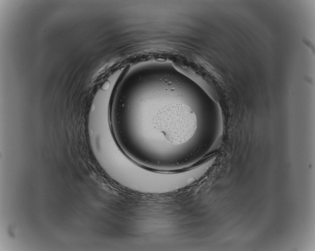 X0000098150824200804241737