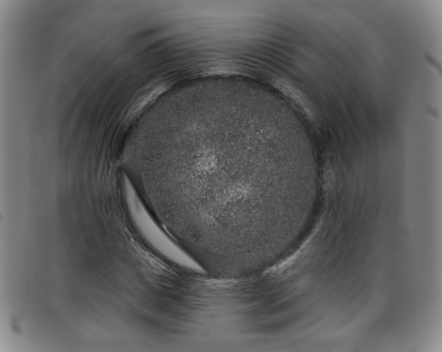 X0000098150825200804241737