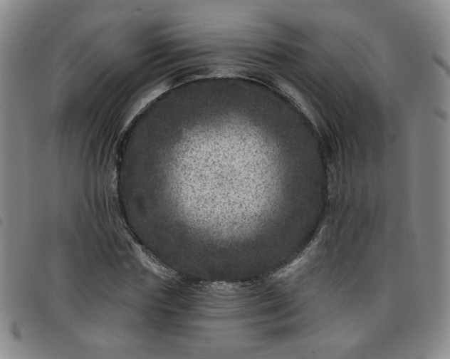 X0000098150827200804241737