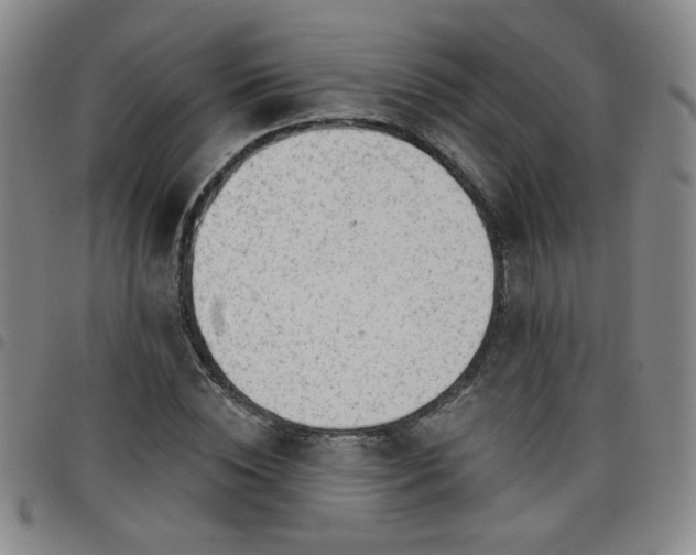 X0000098150828200804241737