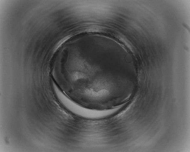 X0000098150829200804241737