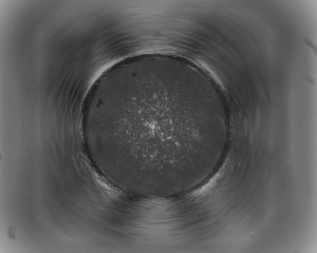 X0000098150830200804241737