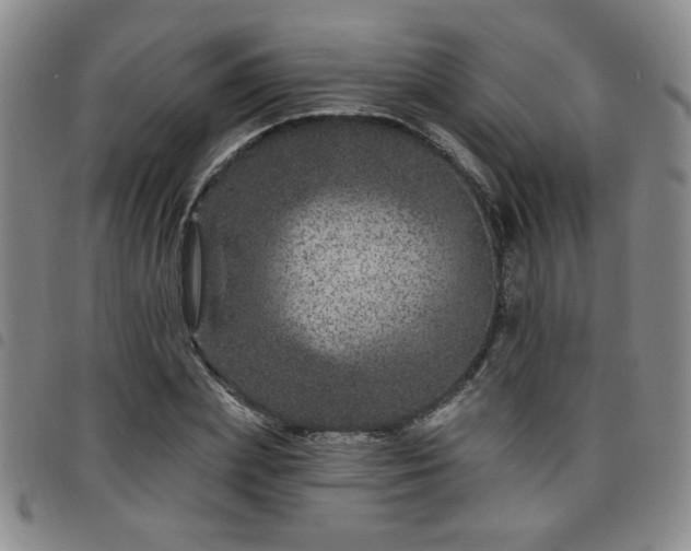 X0000098150831200804241737