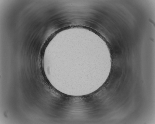 X0000098150832200804241737