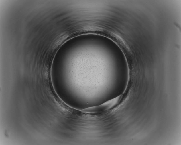 X0000098150833200804241737