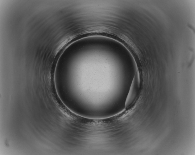 X0000098150834200804241737