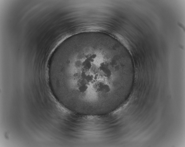 X0000098150835200804241737