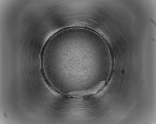 X0000098150838200804241737