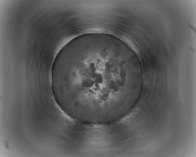 X0000098150839200804241738
