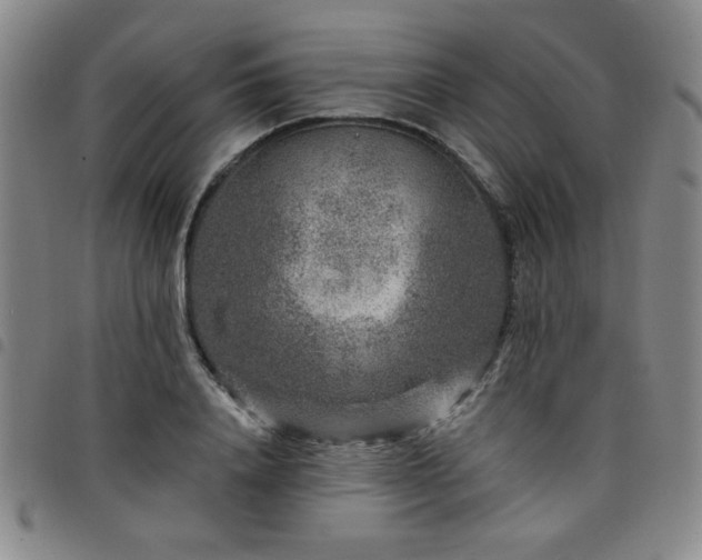 X0000098150840200804241738