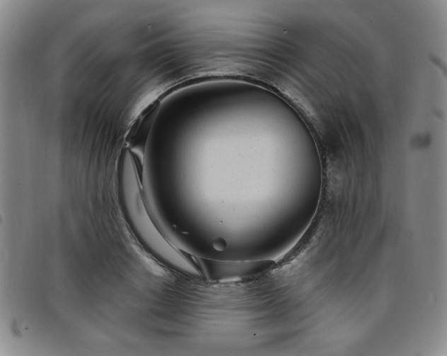 X0000098150842200804241738