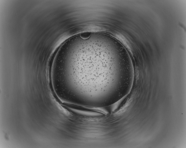 X0000098150843200804241738