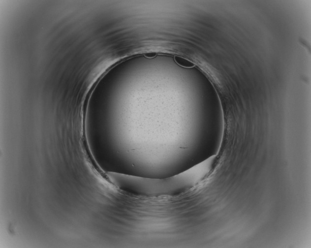 X0000098150844200804241738