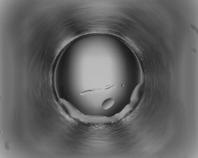 X0000098150846200804241738