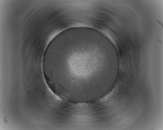 X0000098150847200804241738