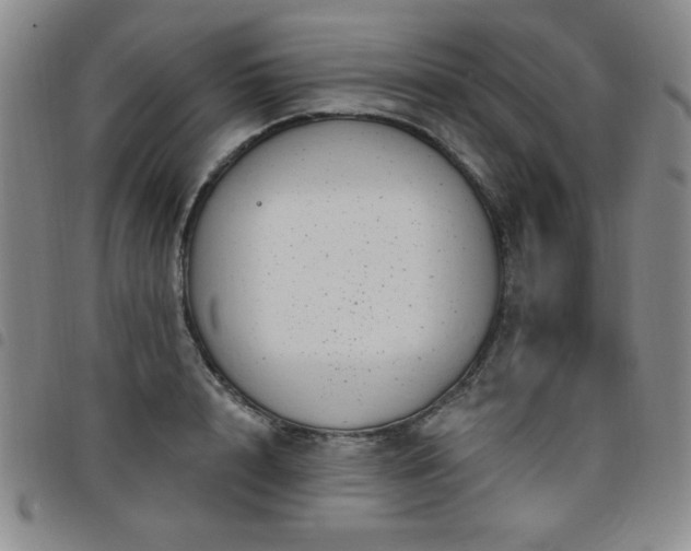 X0000098150848200804241738