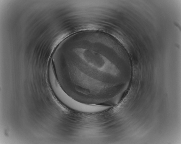 X0000098150850200804241738