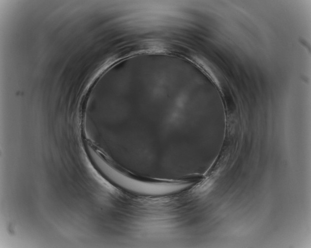 X0000098150851200804241738