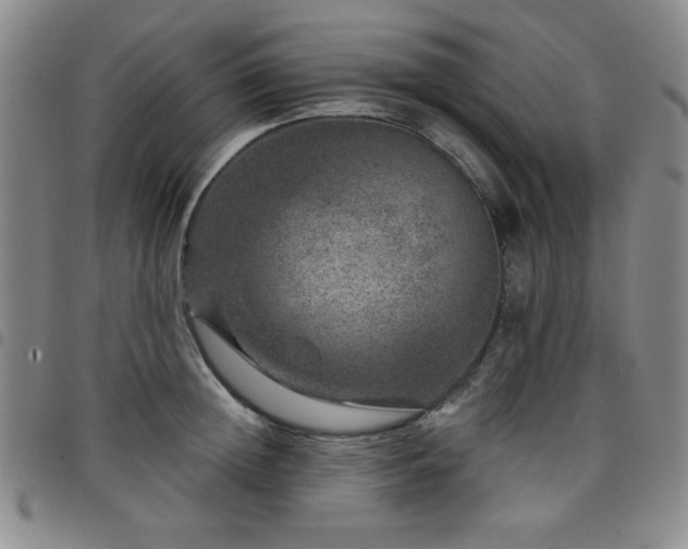 X0000098150852200804241738
