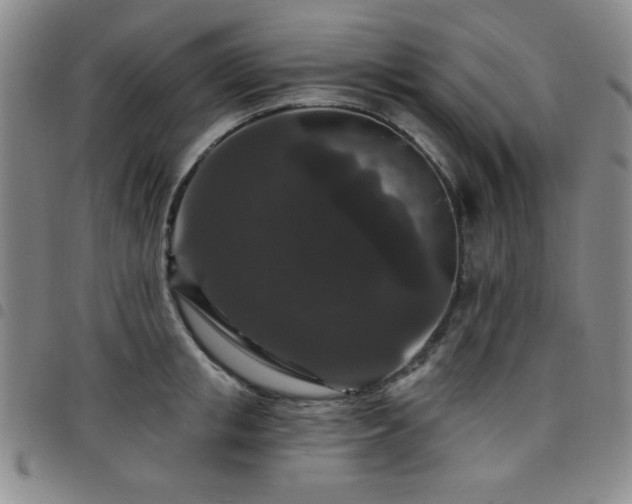 X0000098150853200804241738