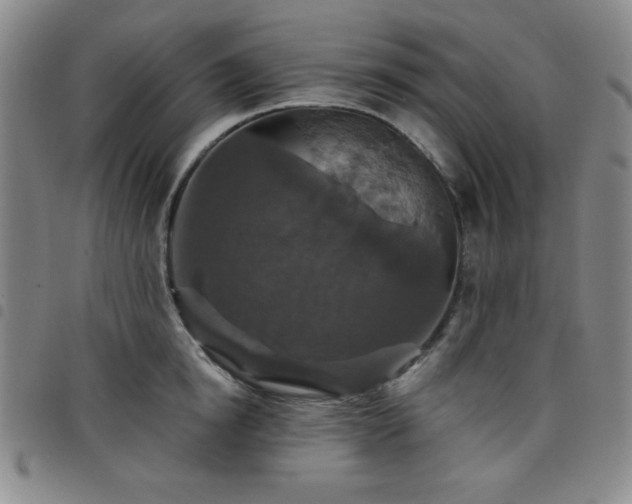 X0000098150854200804241738