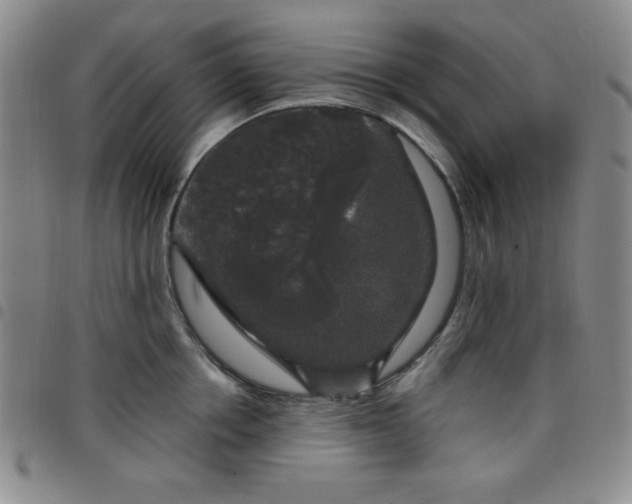 X0000098150858200804241738