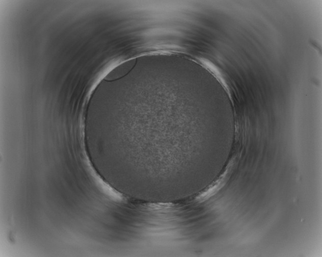 X0000098150859200804241738
