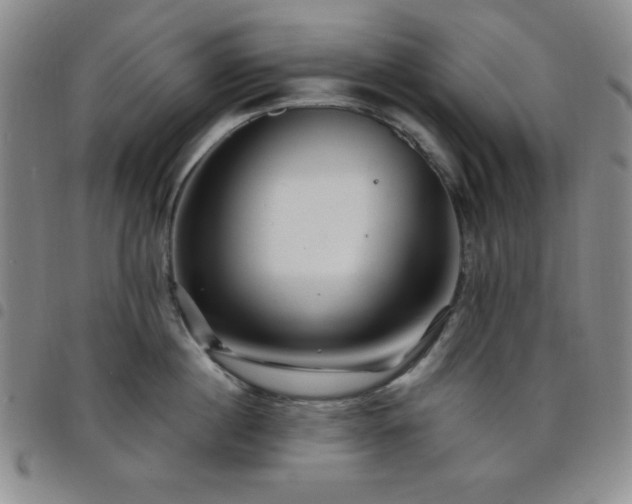 X0000098150860200804241738