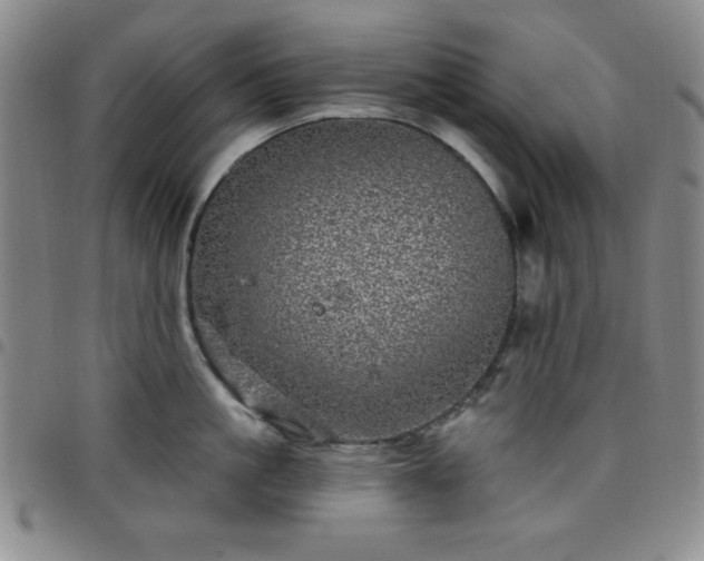 X0000098150861200804241738