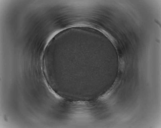 X0000098150862200804241738