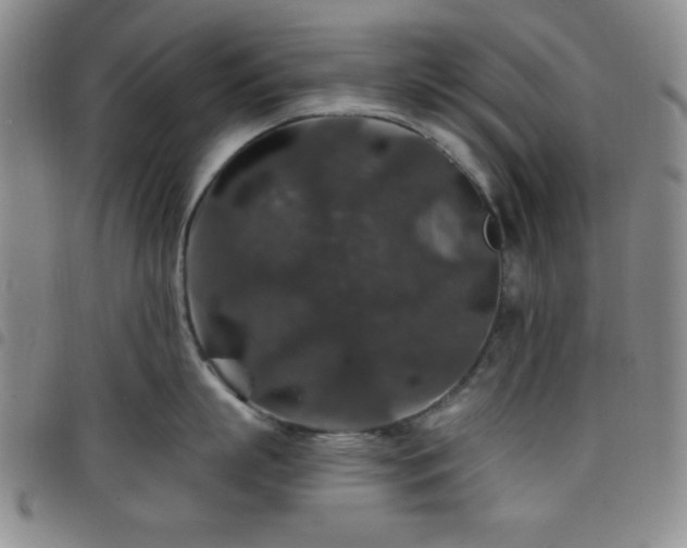 X0000098150863200804241738