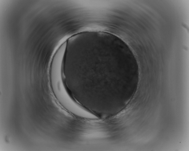 X0000098150864200804241738
