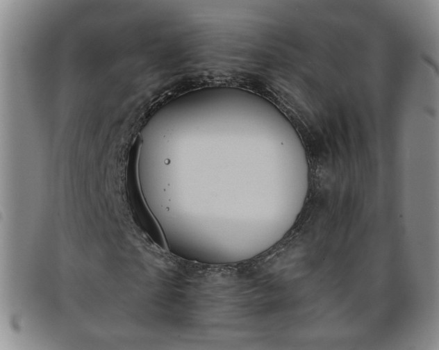 X0000098150865200804241737