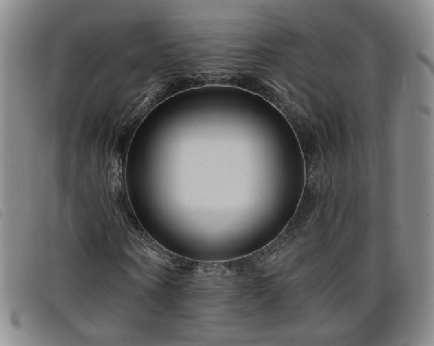 X0000098150866200804241737