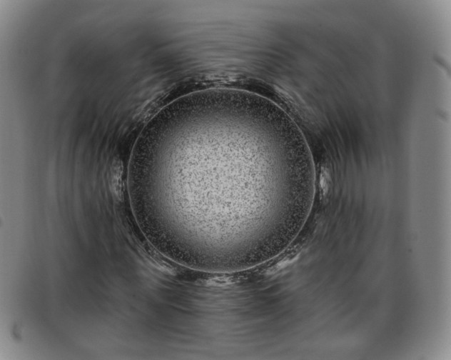 X0000098150867200804241737