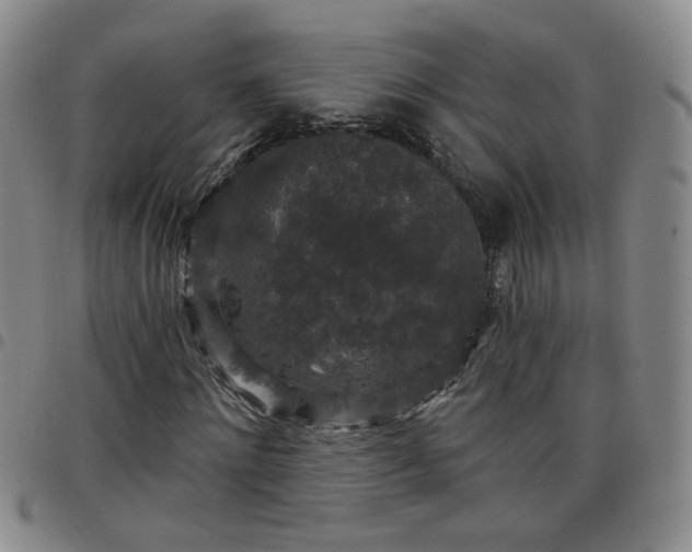 X0000098150868200804241737