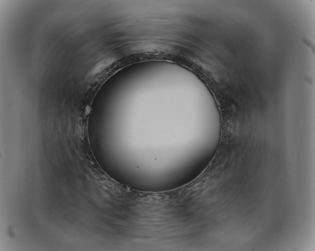 X0000098150869200804241737