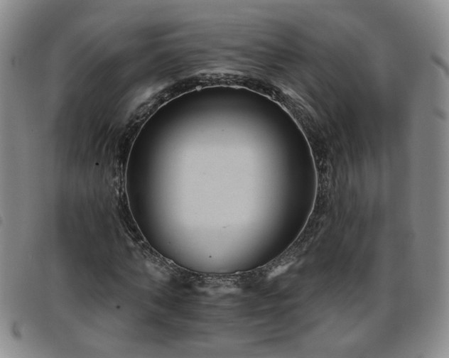 X0000098150870200804241737