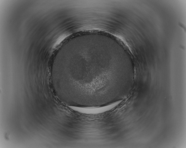X0000098150871200804241737