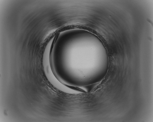 X0000098150872200804241737