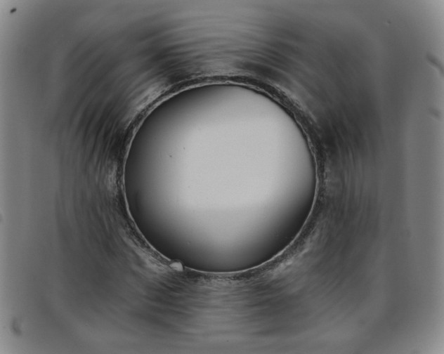 X0000098150873200804241737