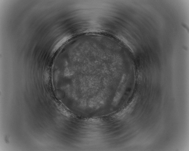X0000098150874200804241737