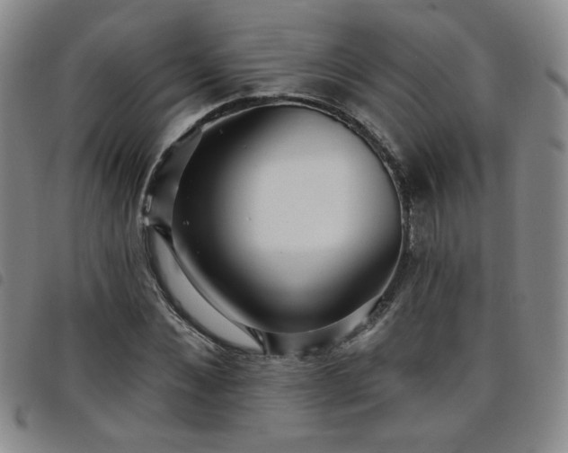 X0000098150876200804241737