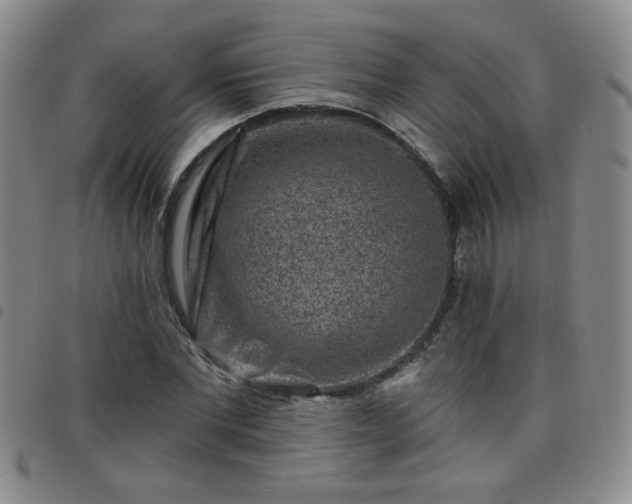 X0000098150877200804241737