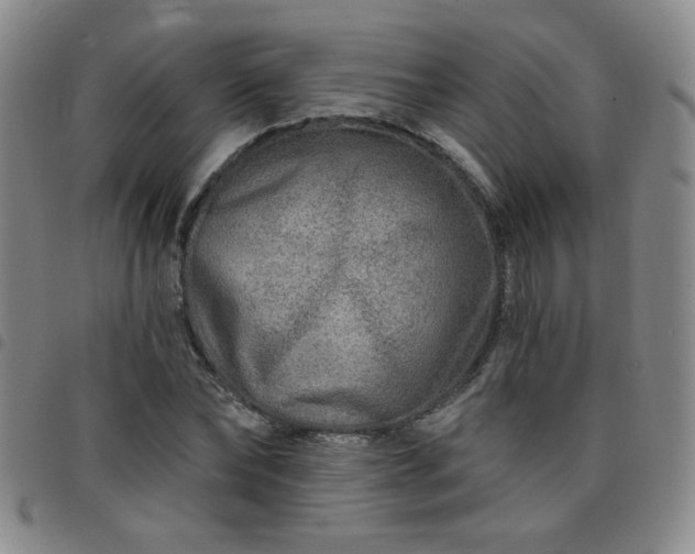 X0000098150878200804241737
