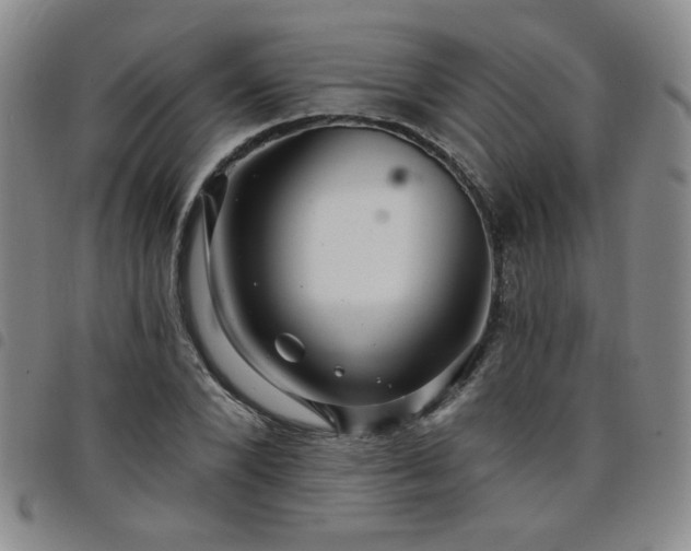 X0000098150880200804241737