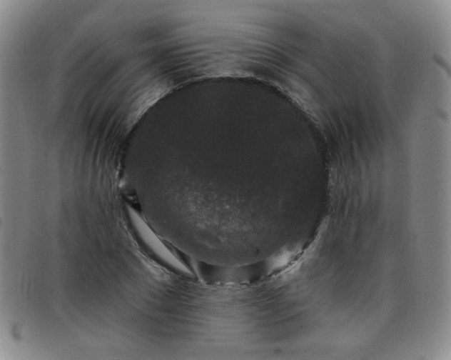 X0000098150881200804241737