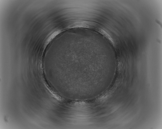 X0000098150882200804241737