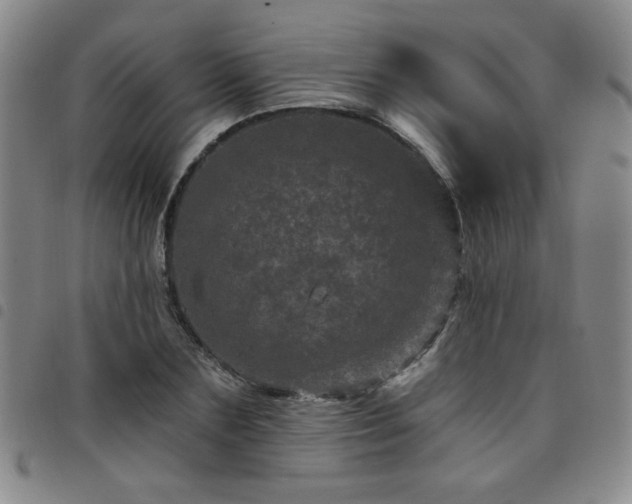 X0000098150883200804241737